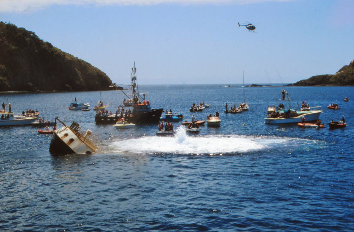 The Bombing Of The Rainbow Warrior 30 Years Later The First