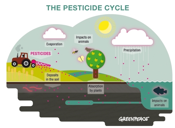 insecticides and pesticides water pollution