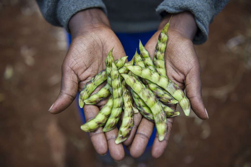 Ecological Farmer in Kenya © Cheryl-Samantha Owen / Greenpeace