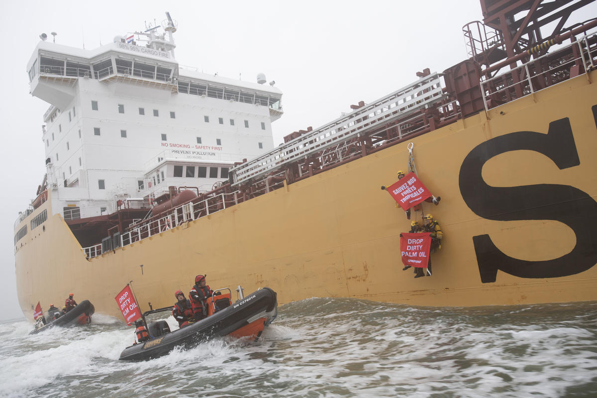 Dirty Palm Oil Protest against the Stolt Tenacity in Rotterdam. © Marten van Dijl