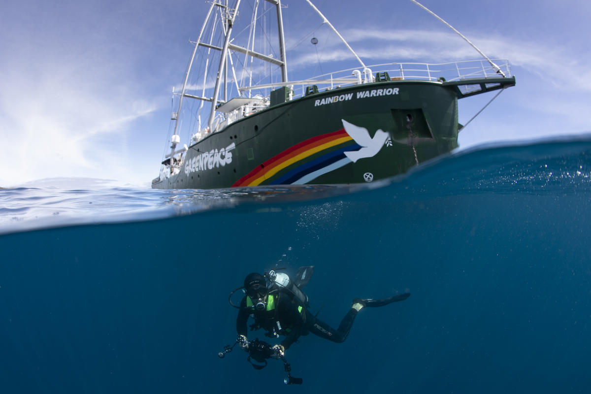 Diver with the Rainbow Warrior in the Great Australian Bight. © Richard Robinson