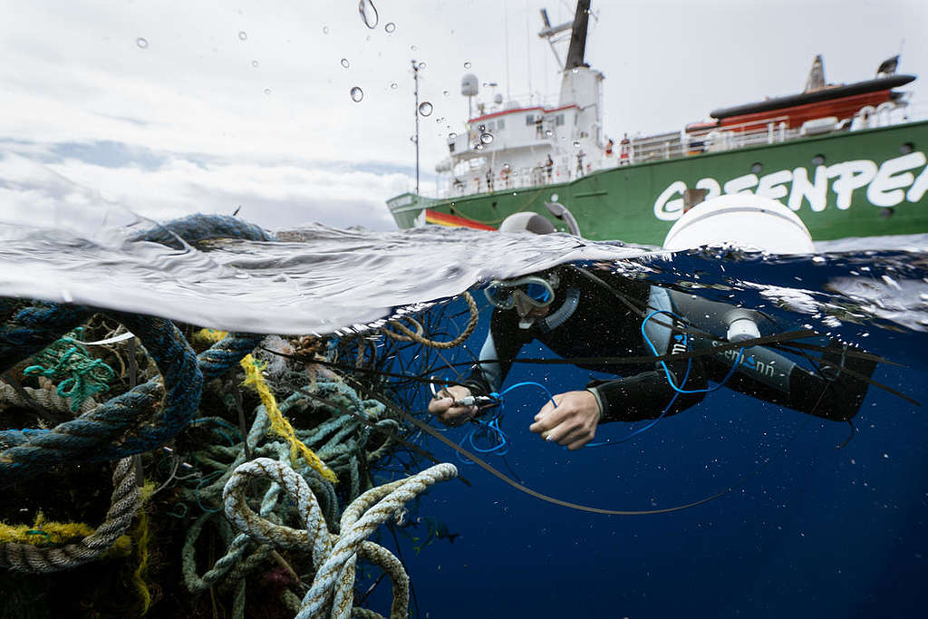 Ghost fishing nets in the Great Pacific Garbage Patch © Justin Hofman / Greenpeace