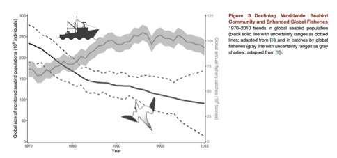 declining worldwide seabird community by David Grémillet