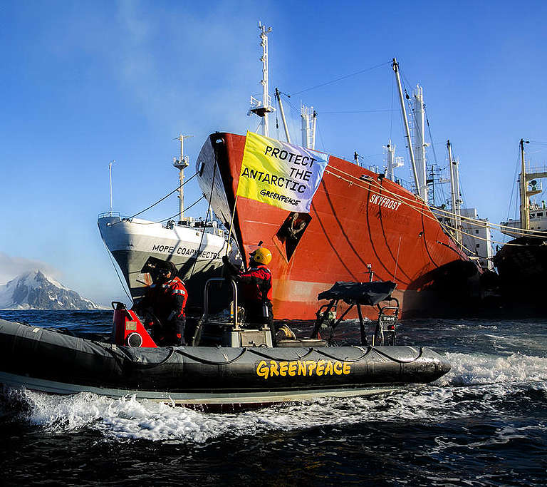 Greenpeace - Greenpeace International