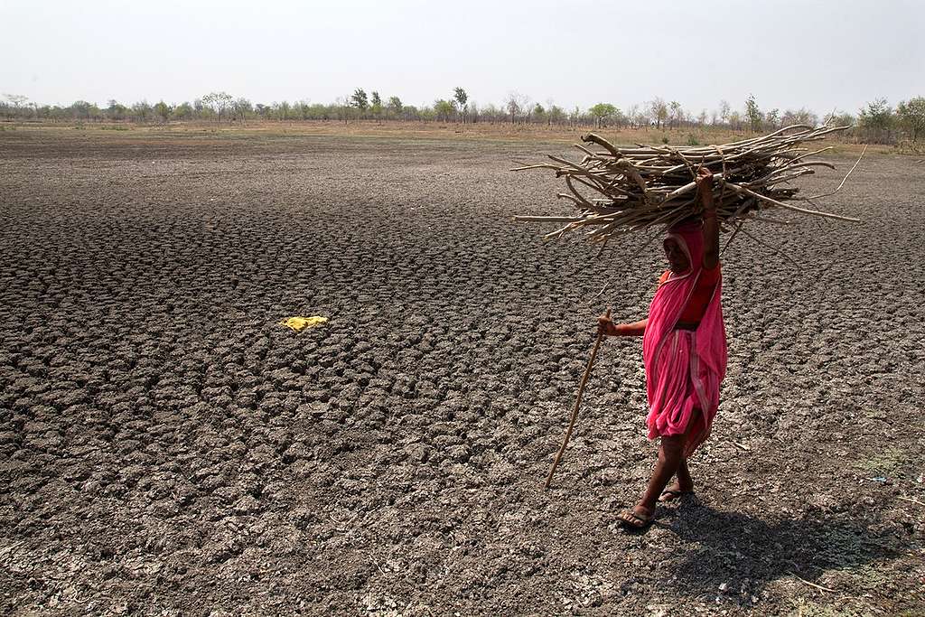 Drought in Maharashtra, India © Subrata Biswas / Greenpeace