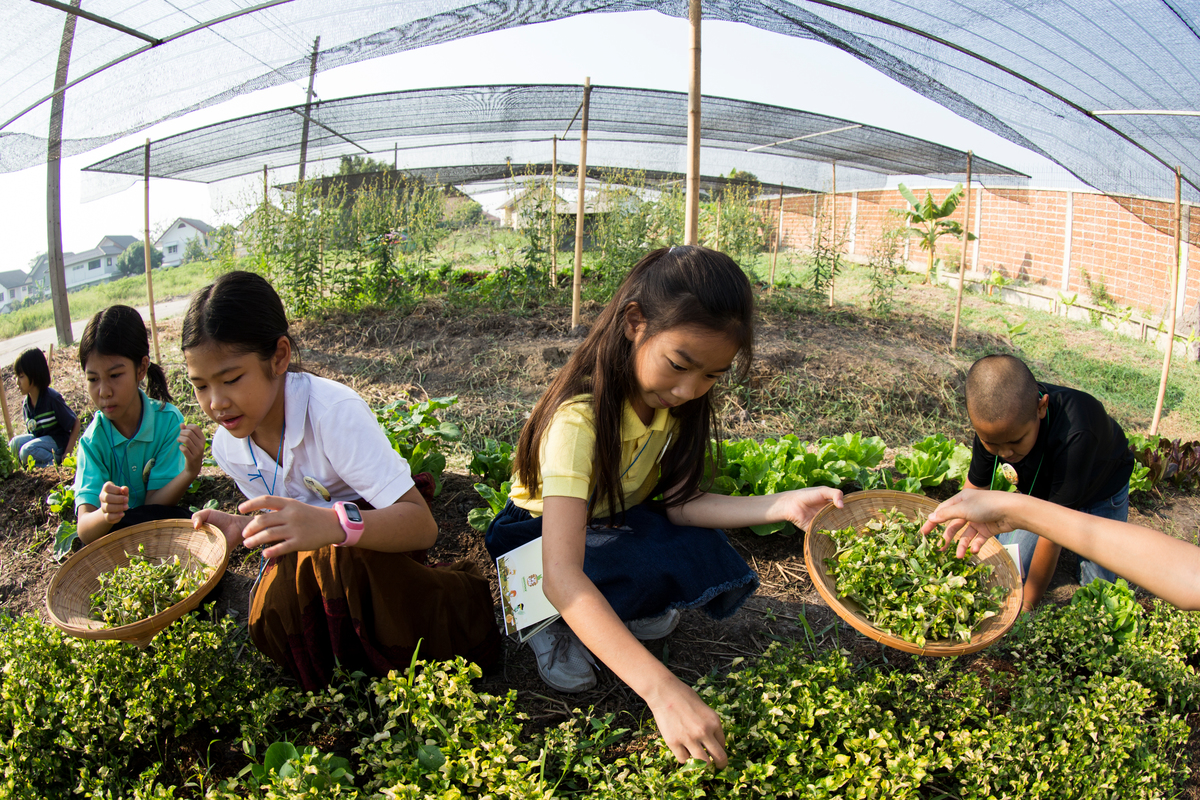 'We Grow' Launch Event in Thailand. © Baramee Temboonkiat / Greenpeace