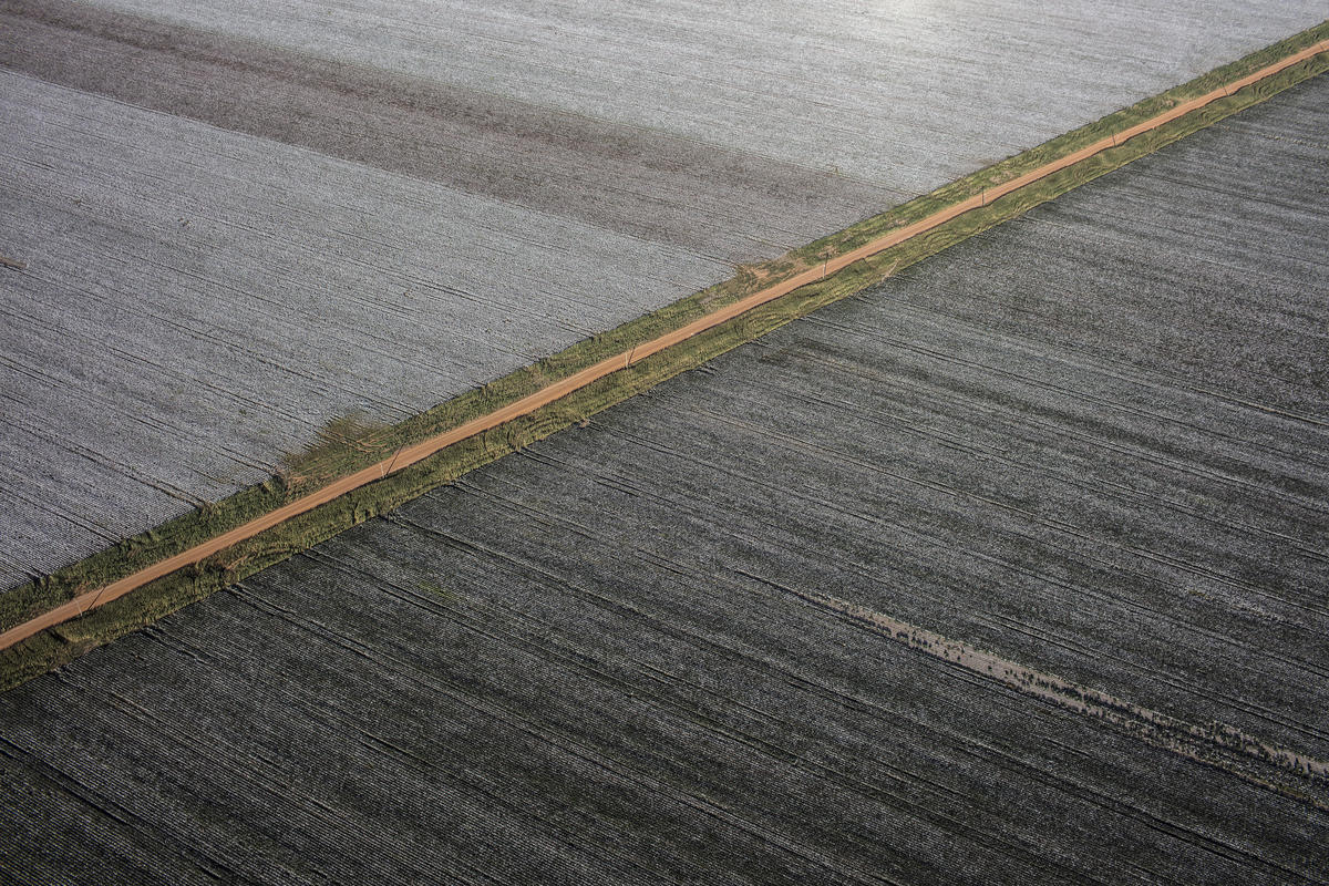 Agribusiness Rush in the Cerrado, Brazil. © Marizilda Cruppe / Greenpeace