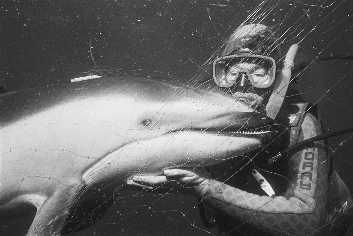 Linda Ingham with Pacific Dolphin. © Greenpeace / Roger Grace