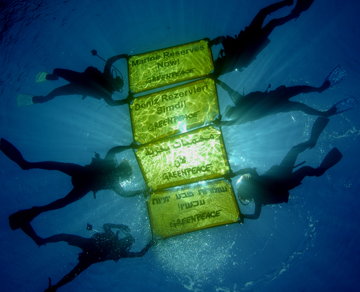 Marine Reserves Now - Mediterranean 2006. © Greenpeace / Roger Grace