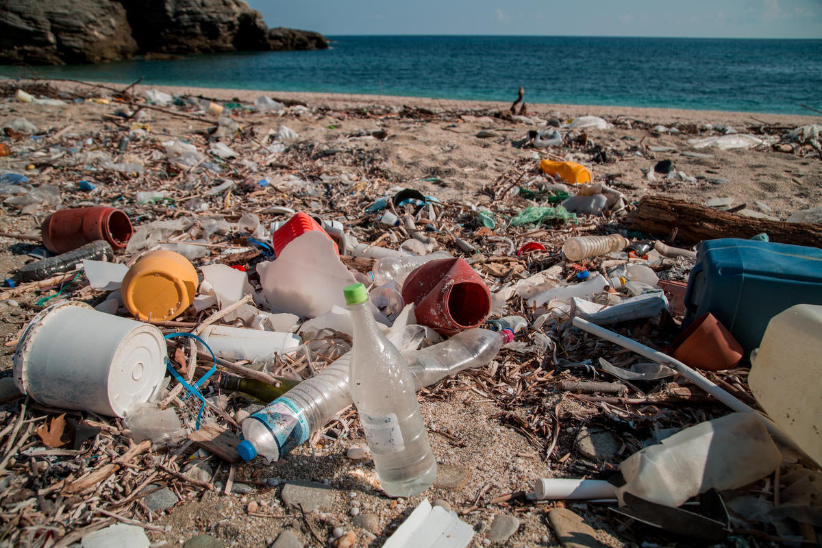 Plastic Brand Audit Activity in Greece. © Constantinos Stathias / Greenpeace