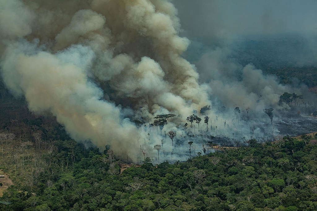 In 2019, the images of the fires raging in the Amazon went viral and shocked the world © Victor Moriyama / Greenpeace