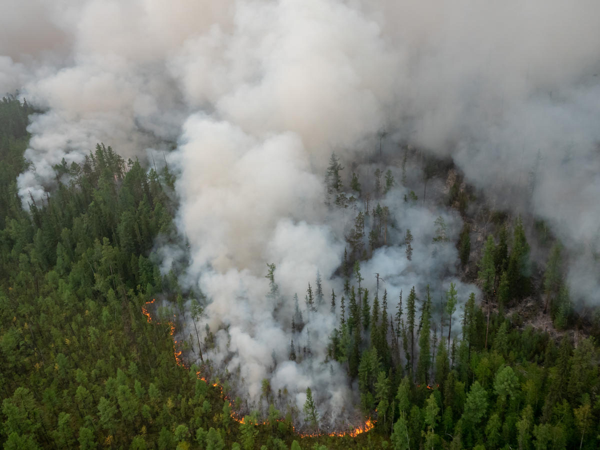 © Igor Podgorny / Greenpeace