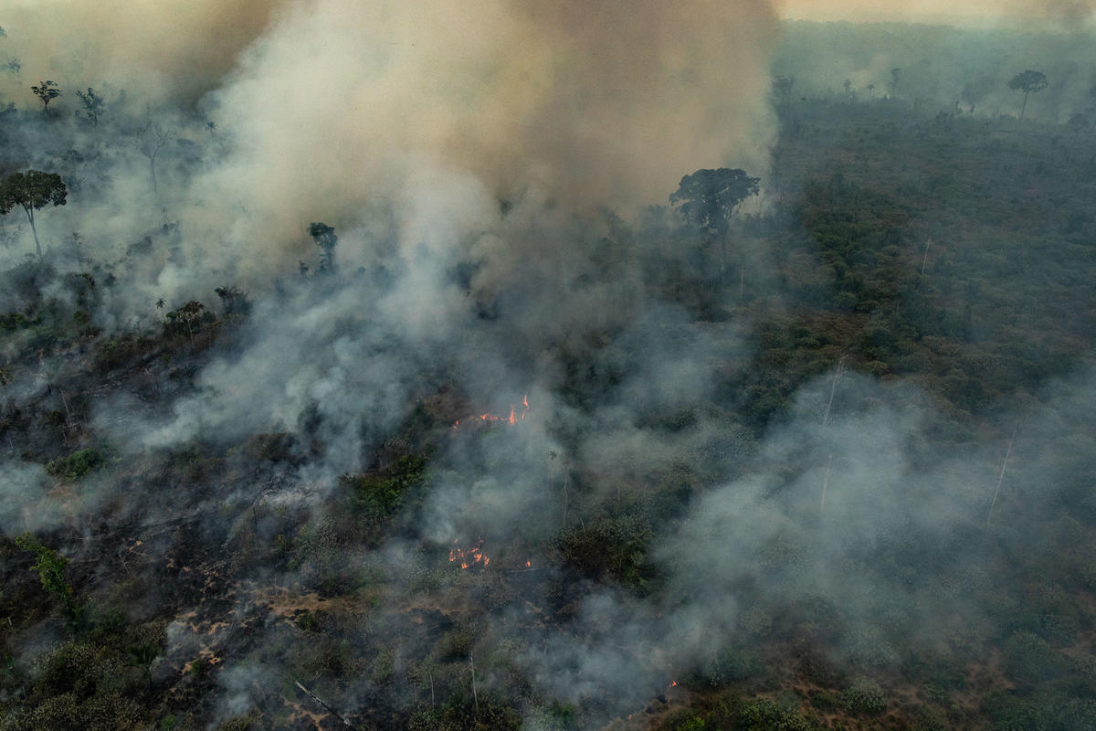 Forest Fires in Altamira, Pará, Amazon (2019). © Victor Moriyama / Greenpeace