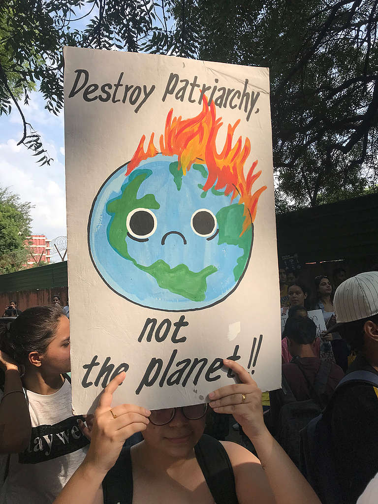 Global climate strike - New Delhi India