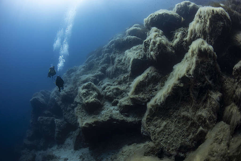 Divers in Ventotene Island. © Lorenzo Moscia / Greenpeace