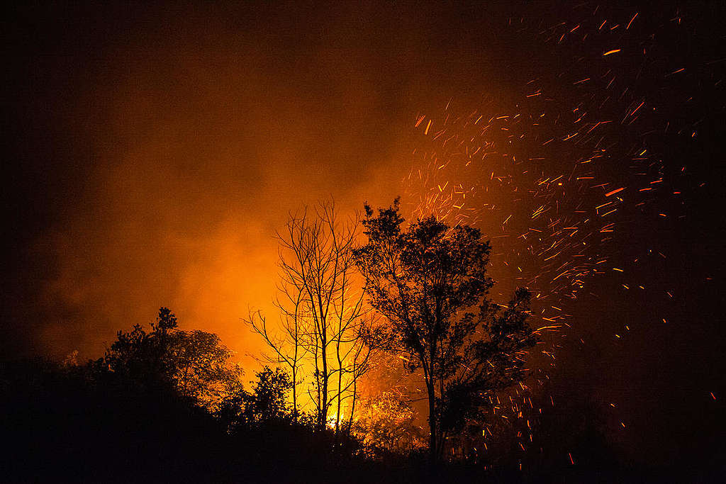 Forest Fires in Central Kalimantan. © Jurnasyanto Sukarno / Greenpeace