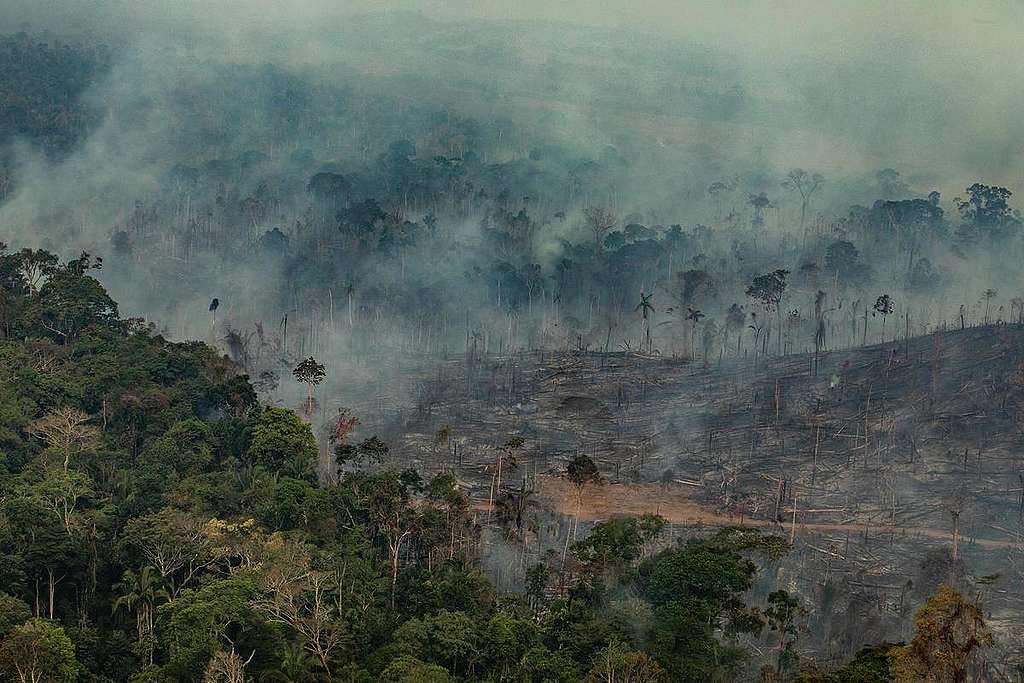 Forest Fires in Porto Velho, Rondônia, Amazon - Third Overflight (2019). © Victor Moriyama / Greenpeace