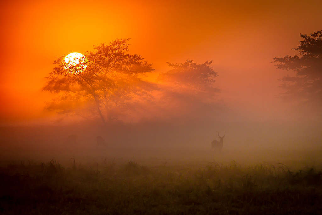 
Tourism helps fund conservation in Busanga Plains in the far northwest of Zambia's Kafue National Park. Without funding and presense that tourist operators bring to this remote area, there would be little enforcement of anti-poaching laws.