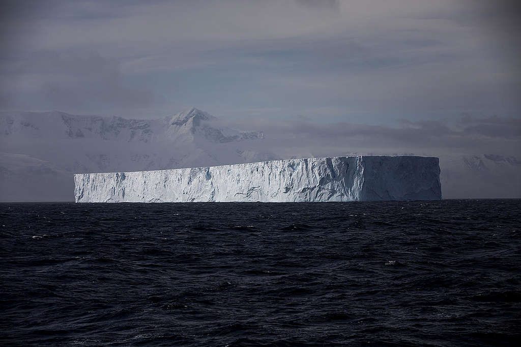 The Arctic Sunrise sails past a large iceberg in the Gerlach Strait, Antarctica.  © Abbie Trayler-Smith / Greenpeace