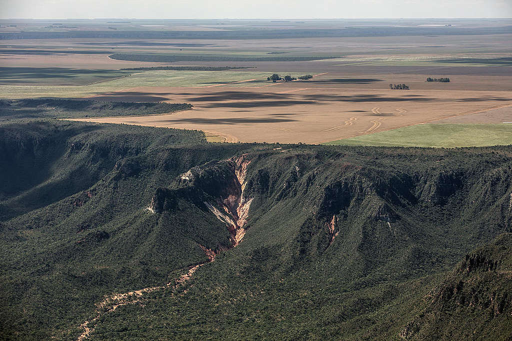 The region between the states of Maranhão, Tocantins, Piauí and Bahia, known as MATOPIBA in Brazil., is considered the showcase of Brazilian agribusiness, with a high productions of soy and corn for export.  © Marizilda Cruppe / Greenpeace