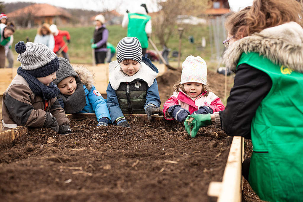 Volunteers Build Raised Beds in a Community Garden in Hungary. © Zsuzsi Dorgo / Greenpeace