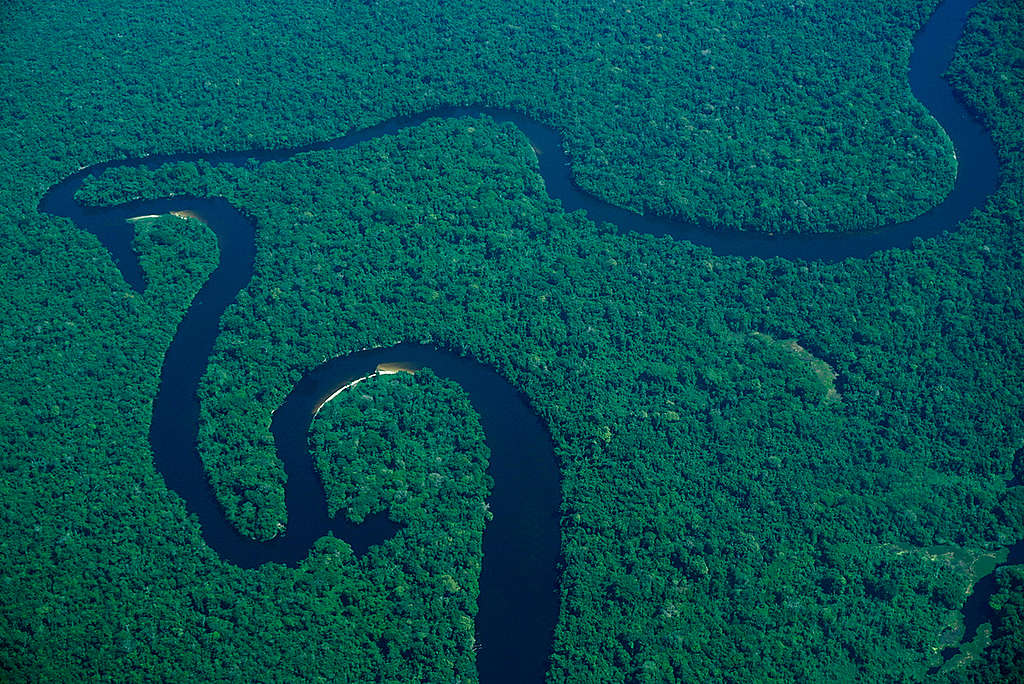 Aerial View over Amazon Rainforest © Rogério Assis / Greenpeace