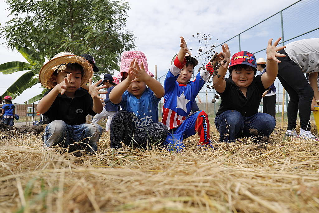 'We Grow' Project Preparation in Thailand. © Roengchai  Kongmuang / Greenpeace