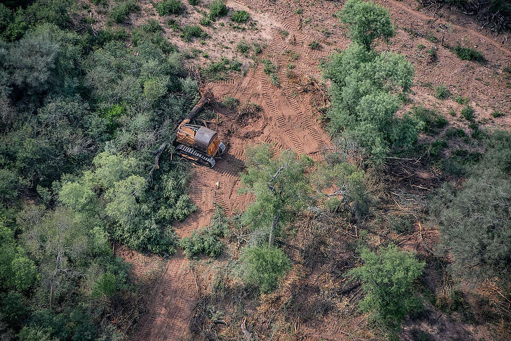 Deforestation for Farming and Agriculture in Chaco Province, Argentina. © Martin Katz / Greenpeace