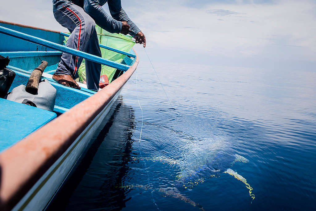Handline Fishing on Buru Island. © Oscar Siagian / Greenpeace