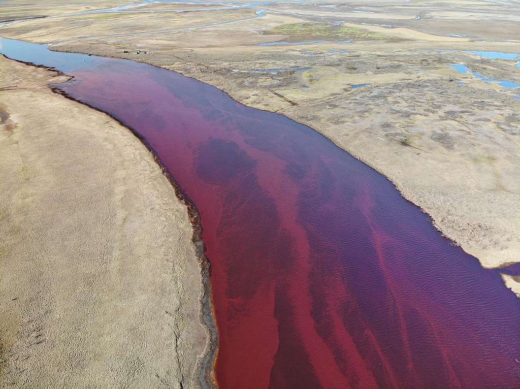 The river runs red catastrophic oil accident in the Russian Arctic