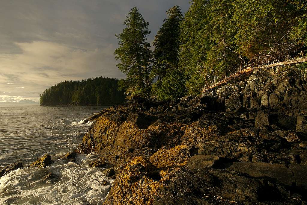 Great Bear Rainforest in B.C. © Markus Mauthe / Greenpeace