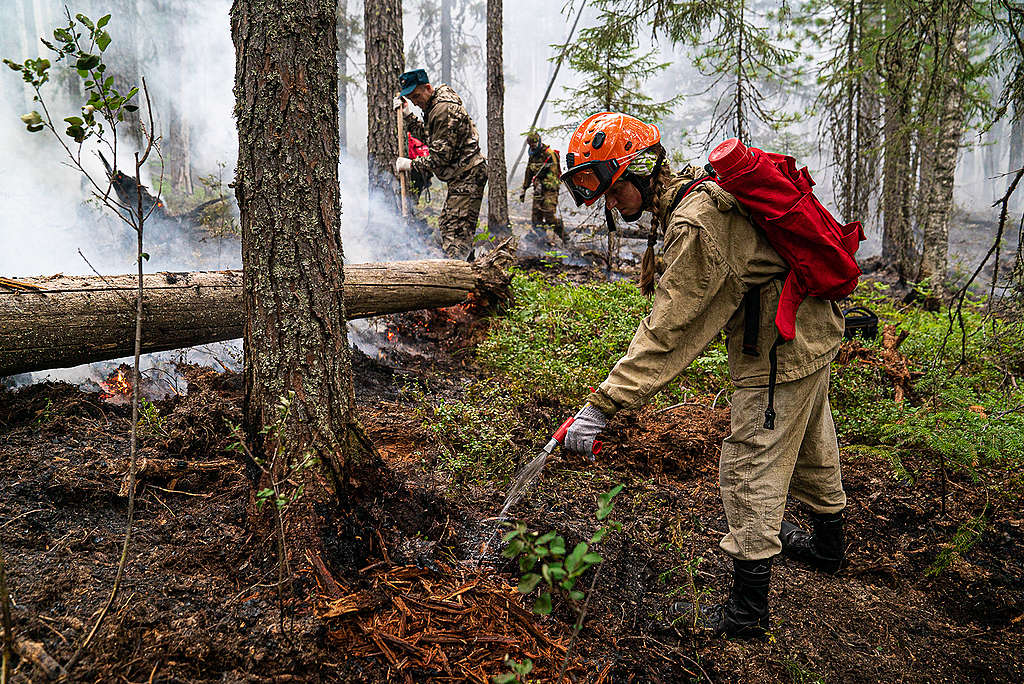 Greenpeace Russia volunteers help fight fires in the Denezhkin Kamen reserve near the Ural mountains.  
© Yulia Petrenko / Greenpeace