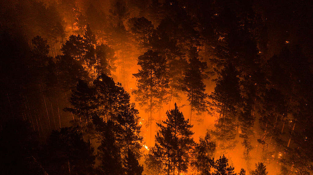 Climate Emergency in Siberia 2020. © Julia Petrenko / Greenpeace