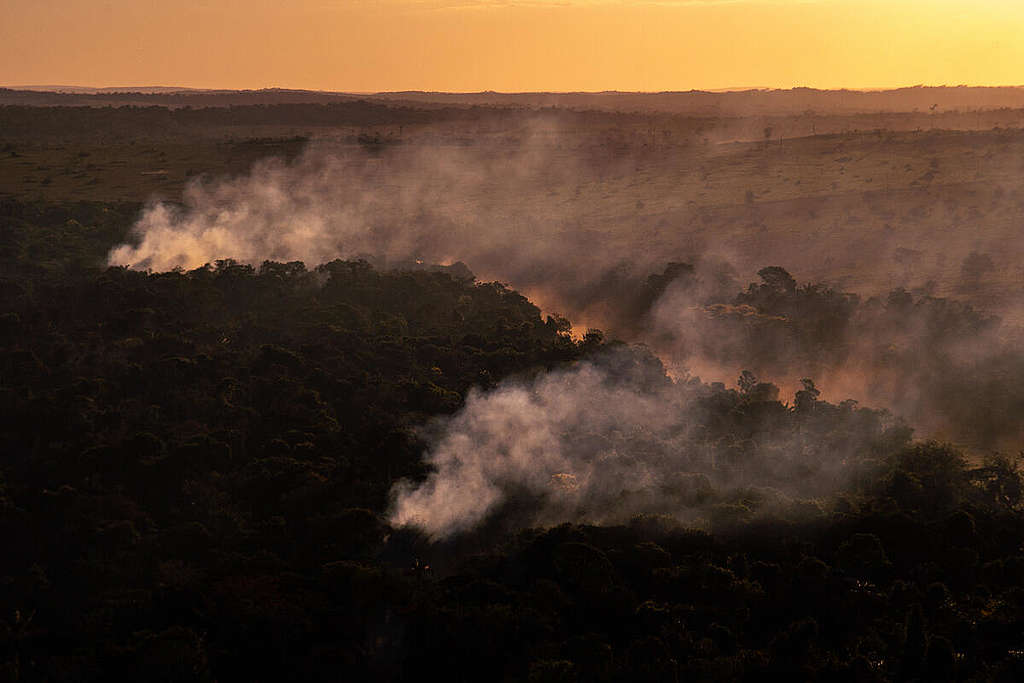 Greenpeace Brazil captured images of fires raging in the Amazon in the state of Mato Grosso.