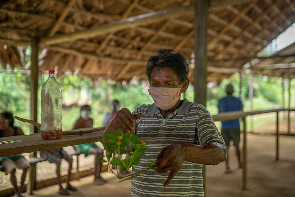 Jair handles the plants and tea his people used to help them cope from COVID-19. © Christian Braga / Greenpeace