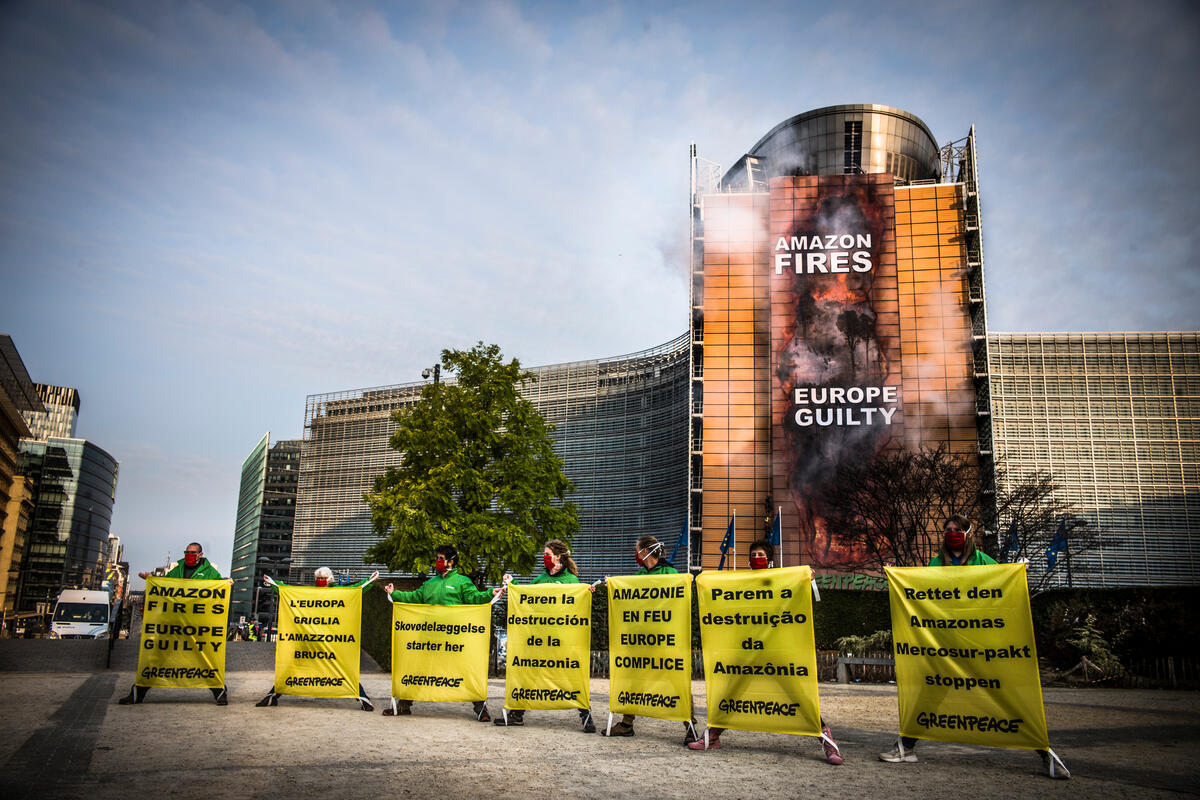 europe-is-eating-the-worlds-forests-but-we-can-stop-it-greenpeace-international