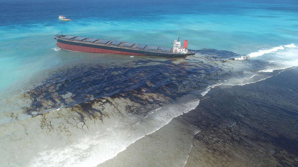 Mauritius Indian Ocean oil spill. Copyright unknown