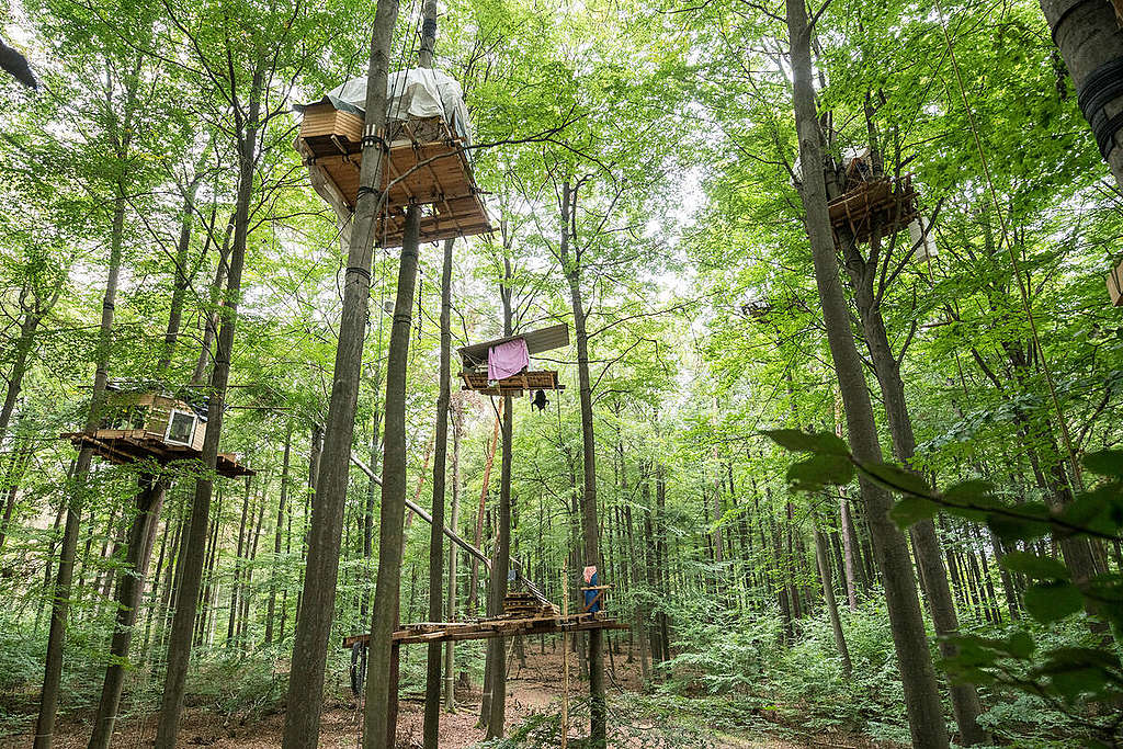 Demonstration at Dannenroeder Forest. © Bernd Lauter / Greenpeace