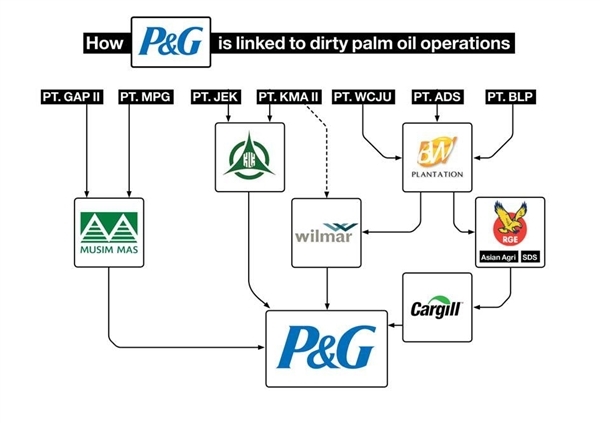 P G 花王 森にやさしくない企業 に グローバル企業のパーム油調達方針ランキング発表 国際環境ngoグリーンピース