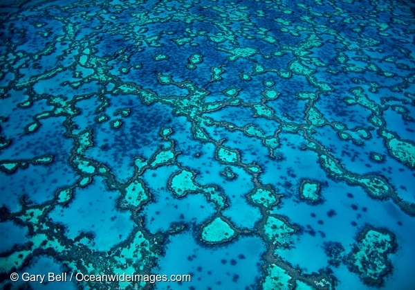 世界で一番美しいサンゴ礁 グレートバリアリーフが直面しているリアル 国際環境ngoグリーンピース