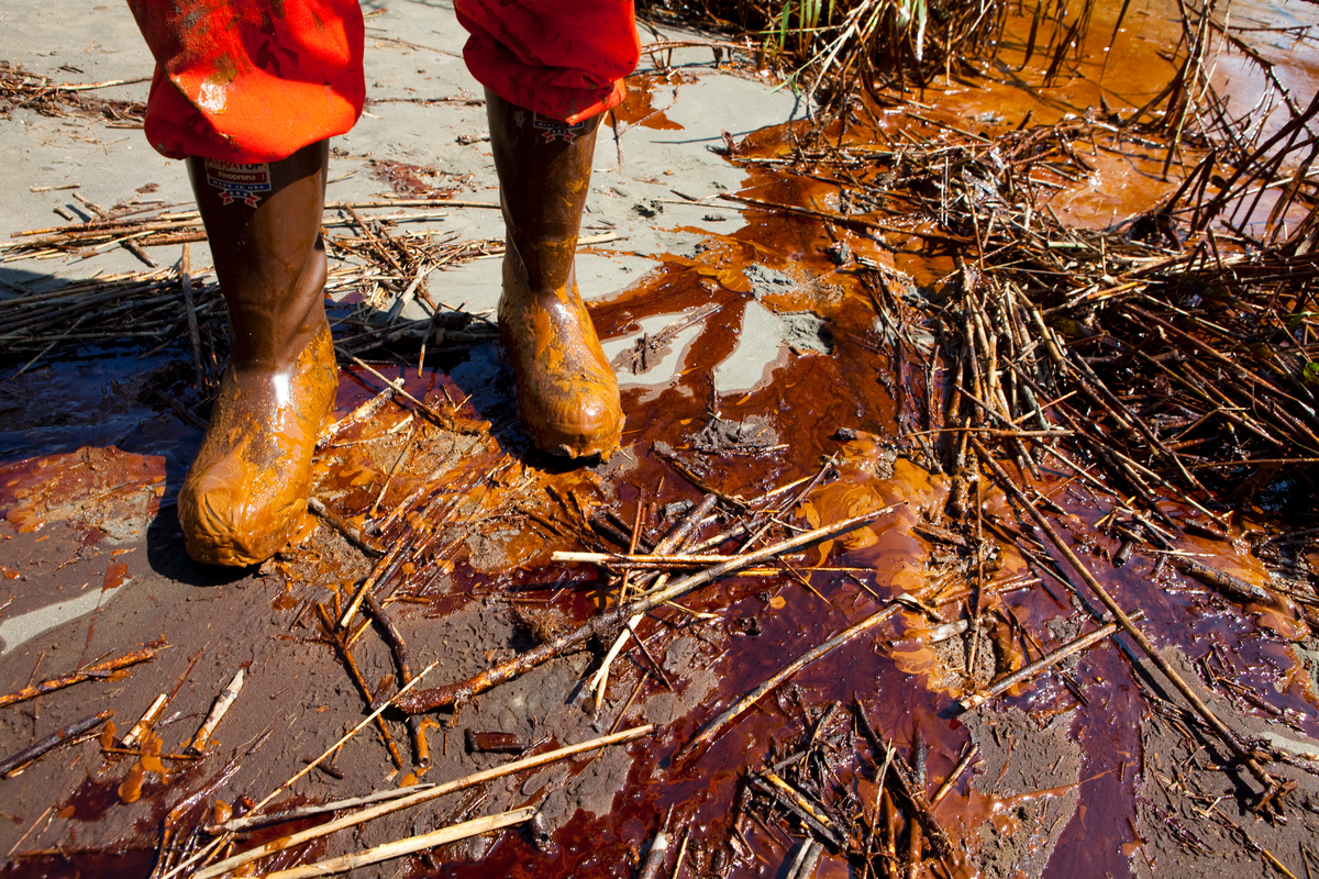 Oil on Shore of Louisiana. © Daniel Beltrá