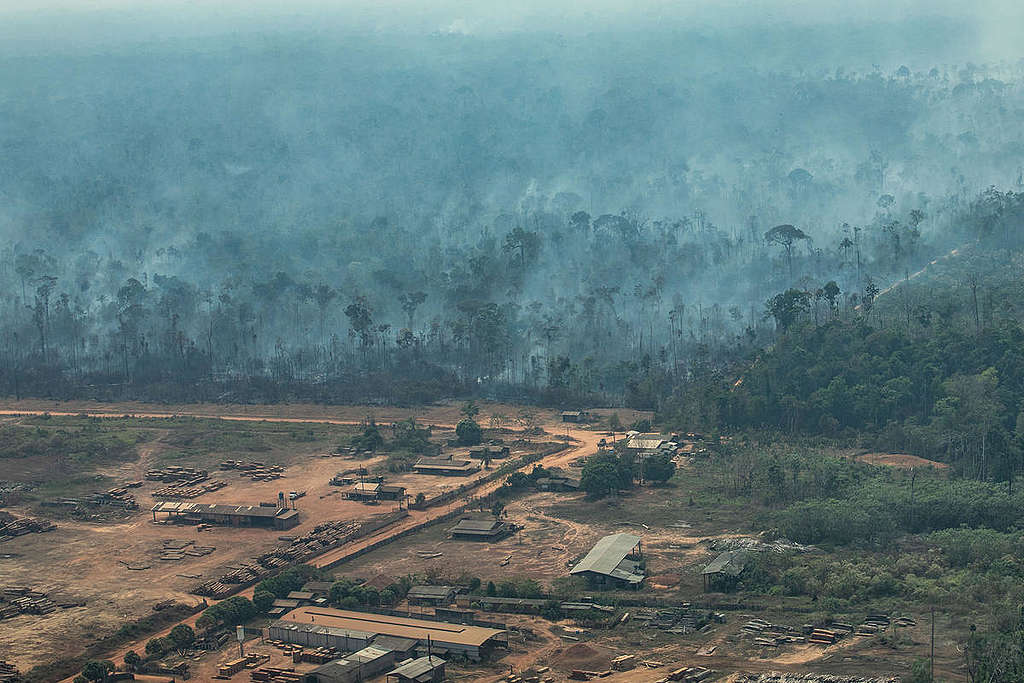 Incendios-en-el-amazonas-causas