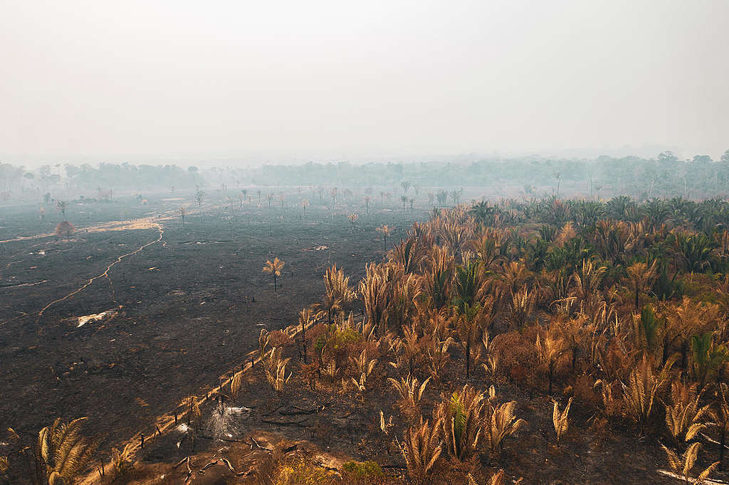 incendios-en-el-amazonas-imagenes