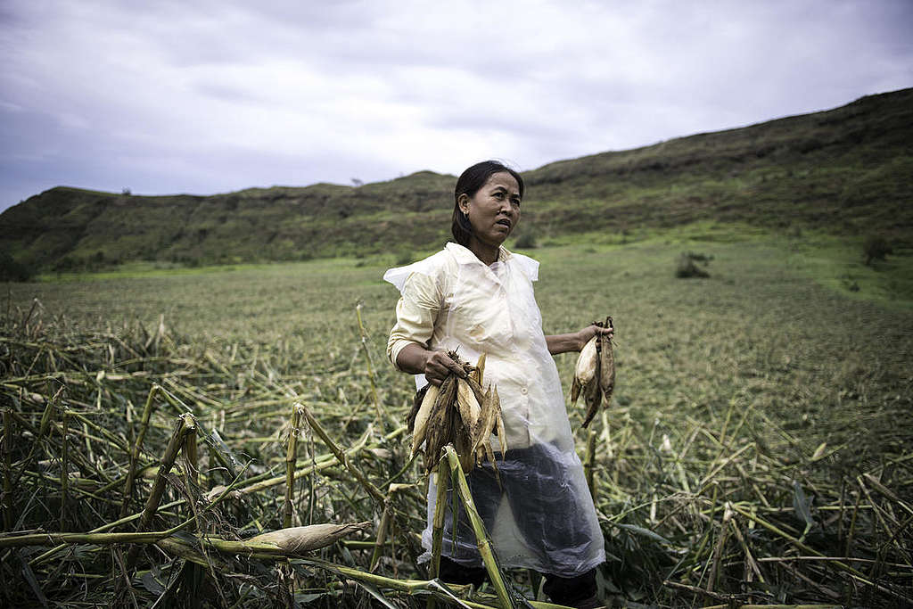 Mujeres en el campo