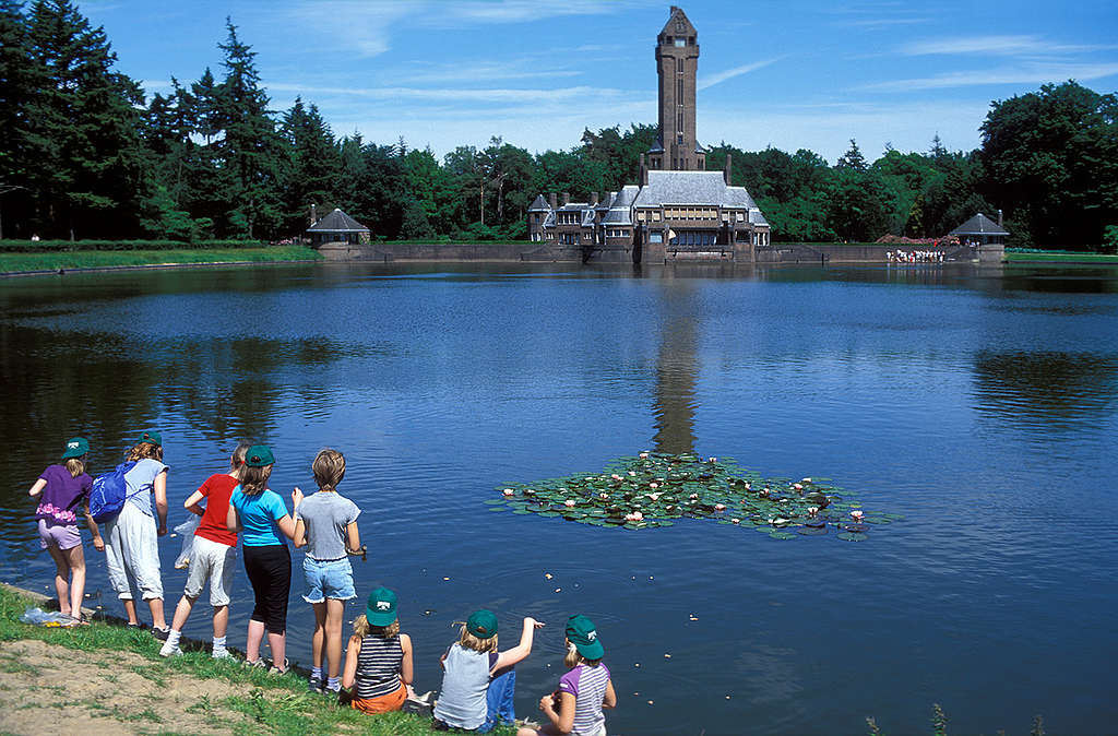 Parques y áreas verdes en las ciudades