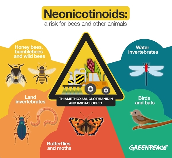 neonicotinoids-a-serious-threat-for-flower-hopping-life-bringers-and