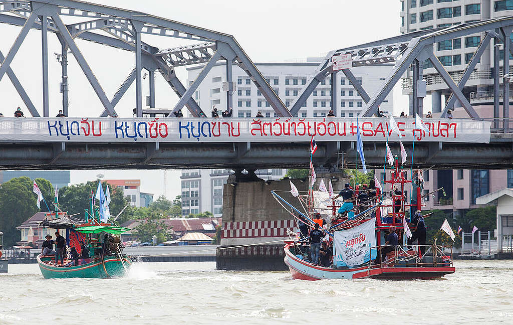 On the bridge, the banner says: "Stop catch, stop buying, stop selling juvenile fishes". 