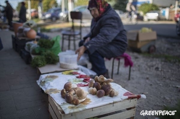 Residents with sales in a local Russian market.  © Denis Sinyakov / Greenpeace