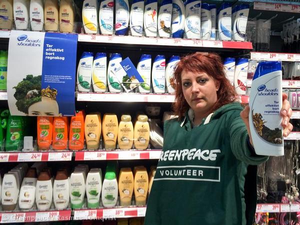 Procter Gamble Lenkt Ein Erfolg Fur Den Regenwald Und Greenpeace Greenpeace