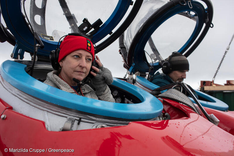 Submersible Dive In Antarctica